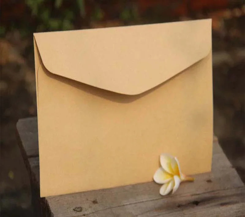 50pcs Envelope Storage Bag