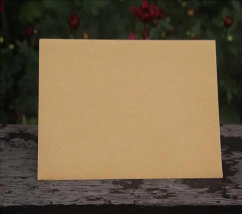 50pcs Envelope Storage Bag